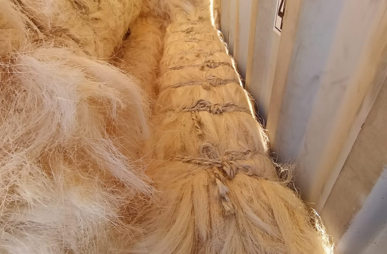 Sisal 